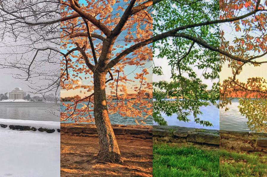 Our life as compared to nature’s four seasons